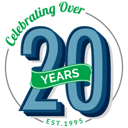 WSI 20 Years Digital Marketing Logo